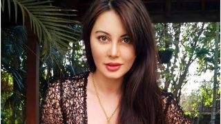 Minissha Lamba Shares Casting Couch Stories: 'Why Don't You Meet For Dinner,' They Ask
