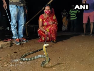 Odisha Woman Sees Her Child Crawl Towards 8-Ft-Long King Cobra, Grabs The Snake With Her Hands