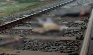 Chhattisgarh: 5 बेटियों के साथ महिला ने तेज रफ्तार Train के आगे कूदकर की सुसाइड