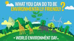 World Environment Day 2021 | What Steps You Can Take to be Environment Friendly? Watch Video