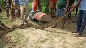india.com top news