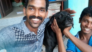Animal Cruelty: Dog Brutally Beaten to Death by 3 Youths in Kerala, Outraged Netizens Trend 'Justice For Bruno'