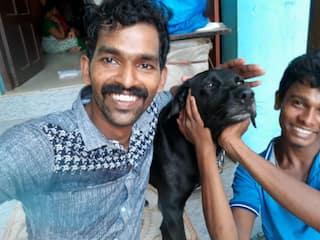 Dog Brutally Beaten to Death by 3 Youths in Kerala, Outraged Netizens Trend 'Justice For Bruno'