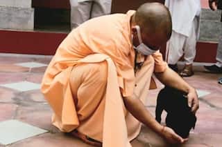 Uttar Pradesh CM Yogi Adityanath's 'Gullu' Is An Internet Sensation. Have You Seen Pics Yet?