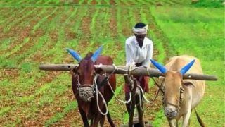 PM Kisan Samman Update: इस राज्य के 9.5 लाख किसानों को नहीं मिलेगी पीएम किसान सम्मान की 9वीं किस्त, जानें अपडेट