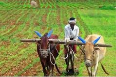 PM Kisan Samman Nidhi Yojana: Over 12.11 Crore Farmer to Receive 9th Installment on THIS Date | Here   s How to Check Status