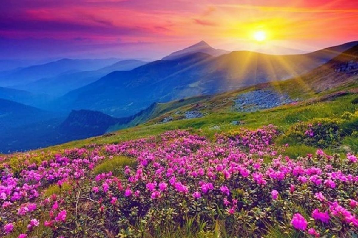Uttarakhand Valley of Flowers Opens For Tourists: | FintechZoom