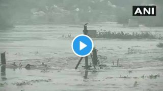 Floods in Prayagraj: प्रयागराज पर मंडरा रहा बाढ़ का खतरा, लोगों को सुरक्षित जगहों पर पहुंचाने का काम शुरू