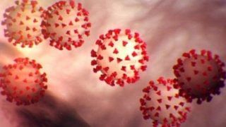 India's First COVID Patient Tests Positive For Coronavirus Again