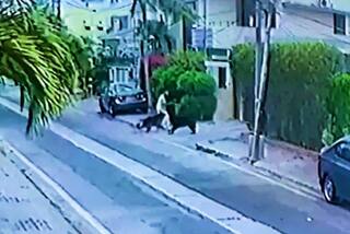 Bizarre! 2 Pet Dogs Get    Death Sentence    in Pakistan For Attacking Lawyer, Video Emerges | Watch