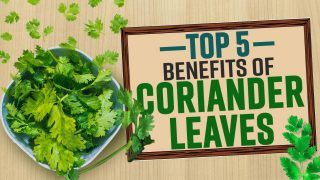 Top 5 Health Benefits of Coriander Leaves: This Basic Ingredient Can Regulate Your Blood Sugar Levels, Boost Immunity