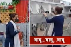 Viral Video: Girlfriend Desperately Cries 'Babu, Babu' Outside Wedding Hall As Boyfriend Marries Another Woman | Watch