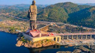 Over 190 Crocodiles Relocated from Lake Near Statue of Unity in Gujarat's Narmada District