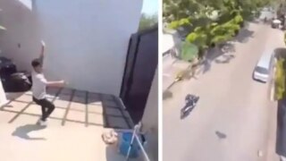 Viral Video: Parrot Flies Away With Phone As Boy Runs After It, Captures A 'Literal Bird's Eye View' | Watch