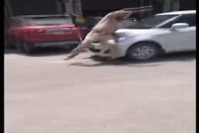 india.com top news
