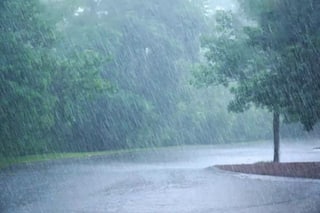 Delhi Experiences Second-Highest Annual Rainfall in 121 Years Since 1933