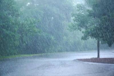 Weather Alert Imd Predicts Moderate To Heavy Rainfall In Chennai Other Districts Till Oct 8