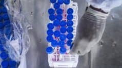 45 Cases of Delta Plus Variant Reported in Maharashtra So Far, Maximum 13 From Jalgaon; 6 in Mumbai