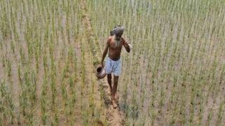 Loans of Farmers Across 19 UP Districts to be Waived Off. Check Details 