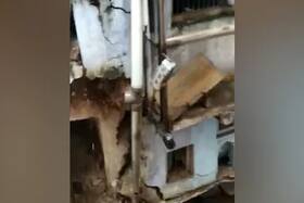 india.com top news