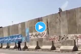 Video: Taliban Fighter Seen Shooting at Man Trying to Enter Kabul Airport | Watch