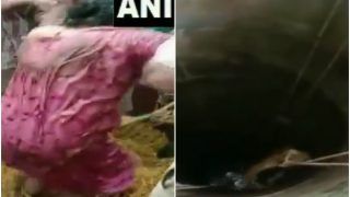 Woman Rescued After She Falls Into 50-Feet Deep Well in Kerala's Wayanad, Video Surfaces | Watch