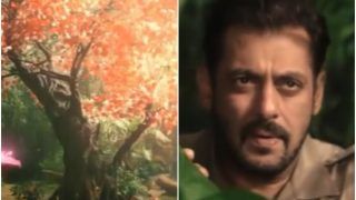 Bigg Boss 15 First Promo: Salman Khan Interacts With Legendary Actor Rekha's Tree Avatar | Watch