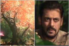 Bigg Boss 15 First Promo: Salman Khan Interacts With Legendary Actor Rekha's Tree Avatar | Watch