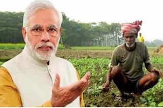 PM Kisan Samman Nidhi Yojana: Good News For Farmers. They Will Receive 3 More Benefits in 10th Installment
