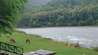 An Idyllic Setting with Best View in Corbett: The Riverview Retreat Review