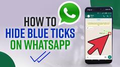 Want To Enable or Disable Last Seen And Blue Tick On WhatsApp? Here's How You Can Do It | Watch Video