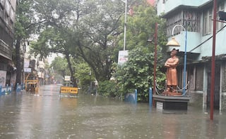 Cyclone Gulab Impact: Heavy Rains Batter Andhra Pradesh Districts, Vizag Airport Waterlogged | WATCH