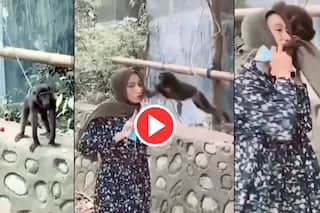 Bandar Aur Ladki Ka Video: बंदर के सामने मस्ती कर रही थी लड़की, फिर जो हुआ हंसी नहीं रुकेगी | Viral हुआ ये Video