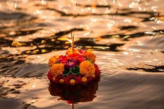 वास्तु शास्त्र: घर में लगी पितरों की तस्वीर कहीं मुश्किल में ना डाल दें! जानिए इससे जुड़ी कुछ महत्वपूर्ण बातें