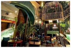 Delhi Restaurant That 'Denied Entry to Woman in Saree    Shut Down over Licence