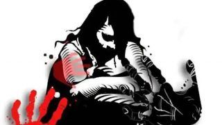 Delhi Shocker: 6-year-old Girl Raped, Hospitalised in Critical Condition; Accused Yet to be Identified