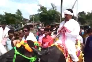 WATCH: Bihar Panchayat Polls Candidate Azad Alam Arrives on Buffalo to File Nomination