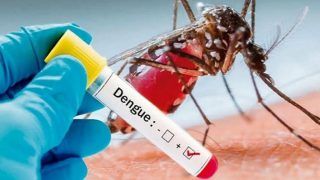 Delhi Reports First Death Due To Dengue This Year, Total Number of Cases Climb to 723 | 10 Points