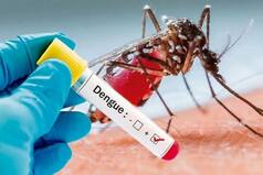 As Dengue Cases Rise, Union Health Minister Calls Meeting with Delhi Govt to Review Situation