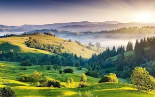 Kodaikanal Travel Guide: Must-Visit Places, Things to do And More