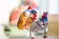 Young People More Vulnerable to Heart Diseases in India, Says Study