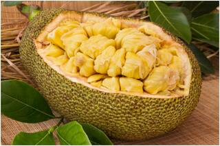 7 Healthy and Nutritious Benefits of Jackfruit