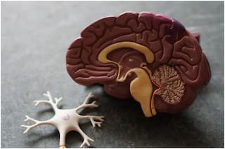 World Alzheimer's Day 2021: From Weight Loss to Anger Issues - Major Symptoms You Should Know About