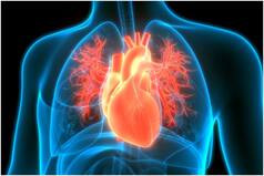 World Heart Day 2021: Common Myths About Heart Problems That You Should Stop Believing Right Away!