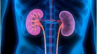 Kidney Damage or Decline in Kidney Function Found in Recovered COVID-19 Patients