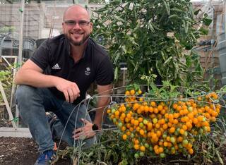 Man Grows 839 Cherry Tomatoes from a Single Stem, Makes World Record