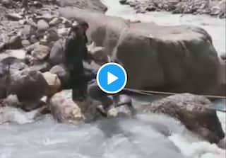 ITBP Troops Rescue 4 Villagers Trapped At 12,000 Feet in Uttarakhand's Milam | Watch