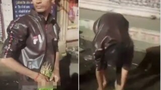 Viral Video: Bhopal Vendor Caught Cleaning Coriander Leaves in Drain Water, Case Filed | Watch