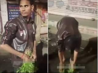 Bhopal Vendor Caught Cleaning Coriander Leaves in Drain Water, Case Filed | Watch