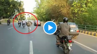 Viral Video: Ostriches Spotted Running on Busy Road In Lahore, Internet Left Puzzled | Watch
